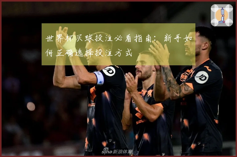世界杯买球投注必看指南：新手如何正确选择投注方式