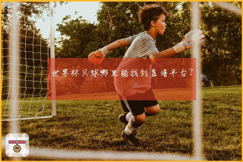 世界杯买球哪里能找到靠谱平台？