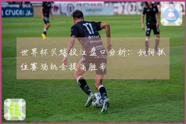 世界杯买球投注盘口分析：如何抓住赛场机会提高胜率