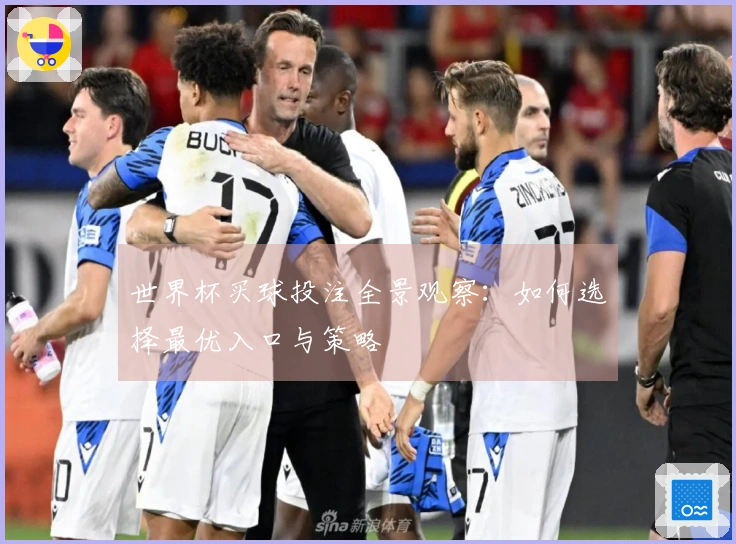 世界杯买球投注全景观察：如何选择最优入口与策略