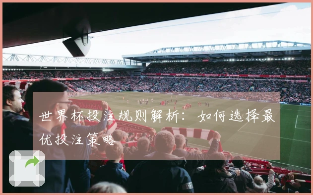 世界杯投注规则解析：如何选择最优投注策略