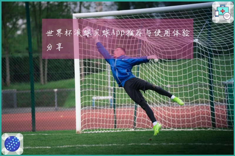 世界杯滚球买球App推荐与使用体验分享