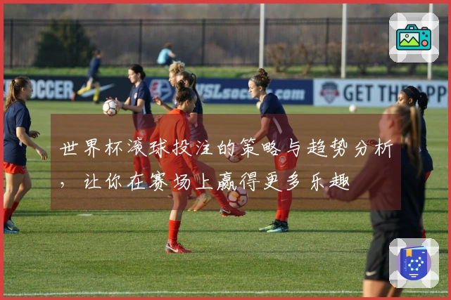 世界杯滚球投注的策略与趋势分析，让你在赛场上赢得更多乐趣