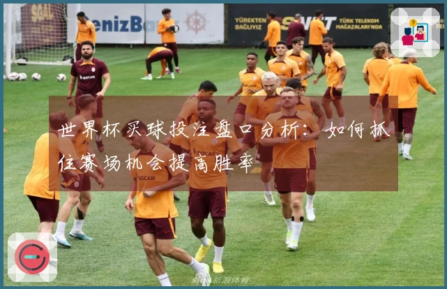 世界杯买球投注盘口分析：如何抓住赛场机会提高胜率