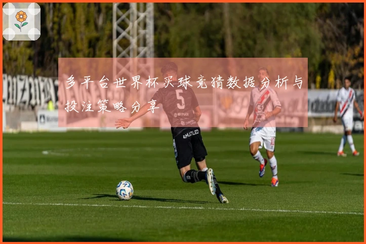 多平台世界杯买球竞猜数据分析与投注策略分享