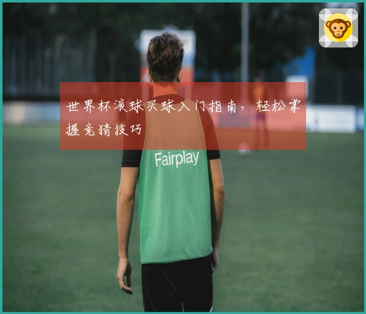 世界杯滚球买球入门指南，轻松掌握竞猜技巧