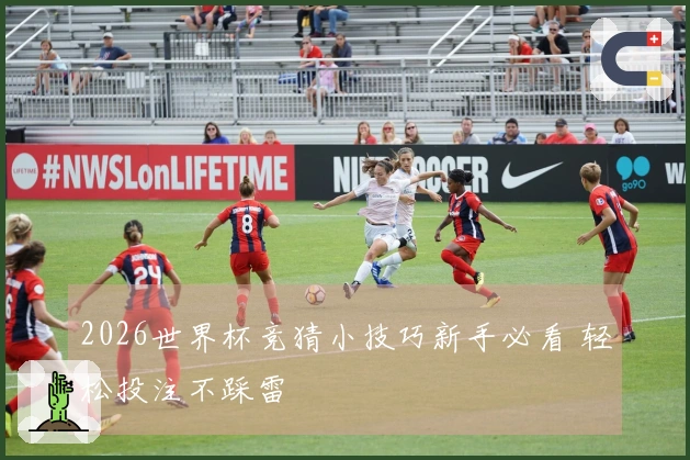 2026世界杯竞猜小技巧新手必看 轻松投注不踩雷