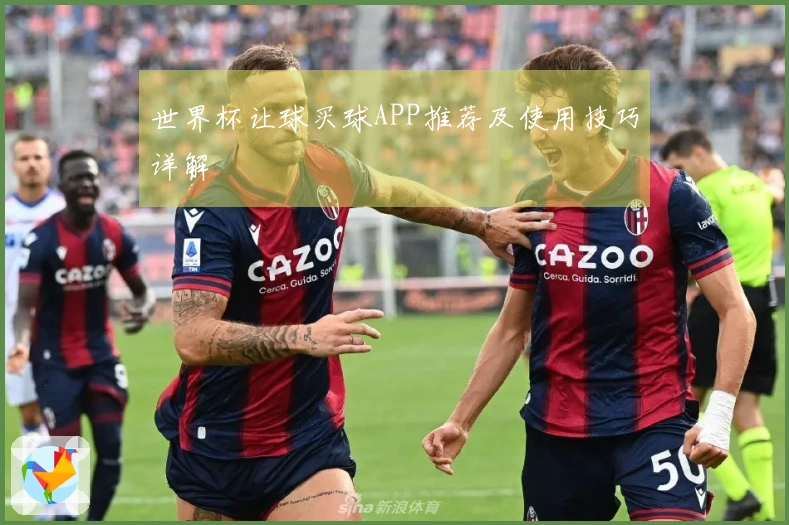 世界杯让球买球APP推荐及使用技巧详解