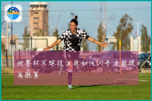 世界杯买球投注该如何入手才能提高胜算