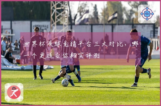 世界杯滚球竞猜平台三大对比，哪一个更适合你翔实评测