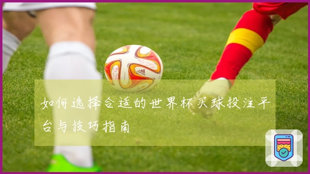 如何选择合适的世界杯买球投注平台与技巧指南