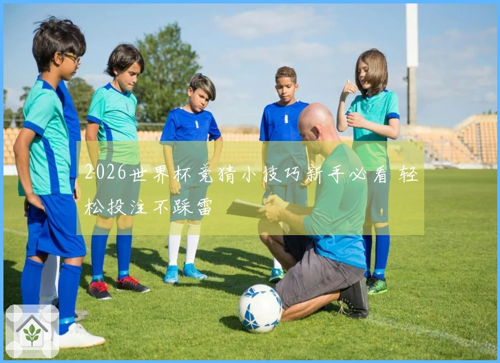 2026世界杯竞猜小技巧新手必看 轻松投注不踩雷