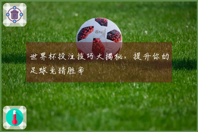 世界杯投注技巧大揭秘，提升你的足球竞猜胜率