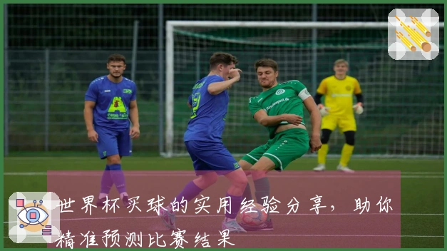 世界杯买球的实用经验分享，助你精准预测比赛结果